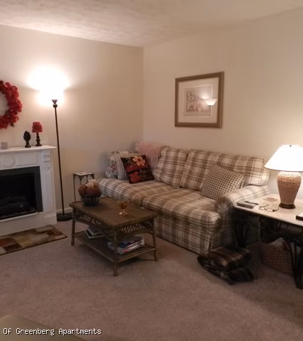 amherst-meadow-apartments-living-room Spacious living rooms