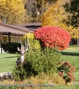 amherst-meadow-grounds-4 Attractive landscaping provides a homey touch
