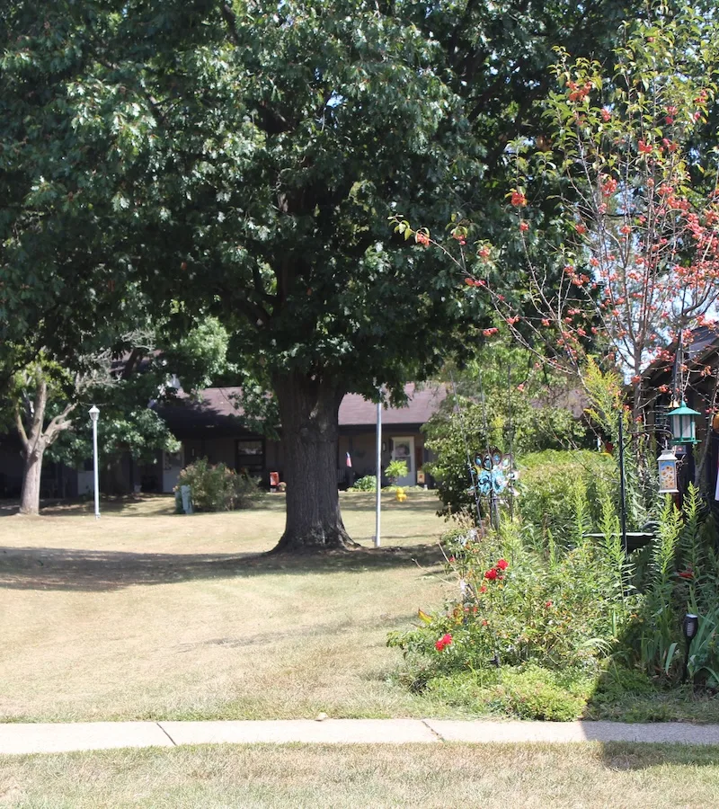amherst-meadow-apartments-landscaping-01-800w Well-maintained exterior landscaping