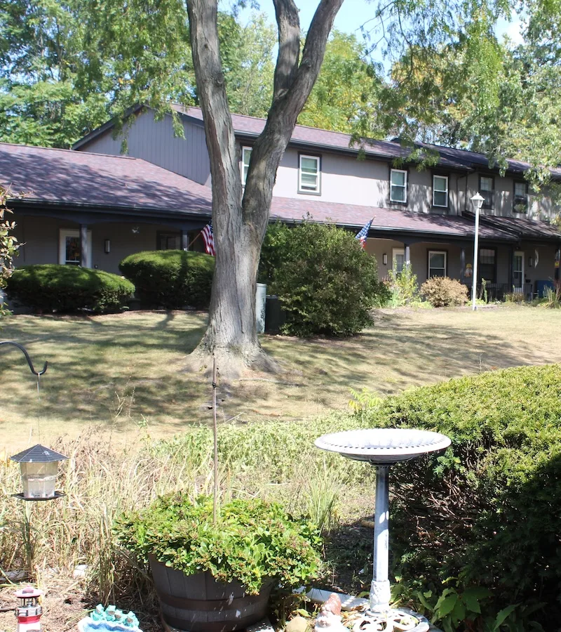 amherst-meadow-apartments-shaded-landscaping-04-800w Tree shaded common areas and grounds