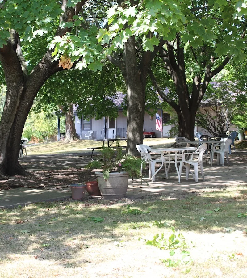 amherst-meadow-apartments-shaded-picnic-area-800w Shaded picnic area under leafy trees