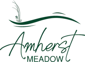 Amherst Meadow Senior Apartments